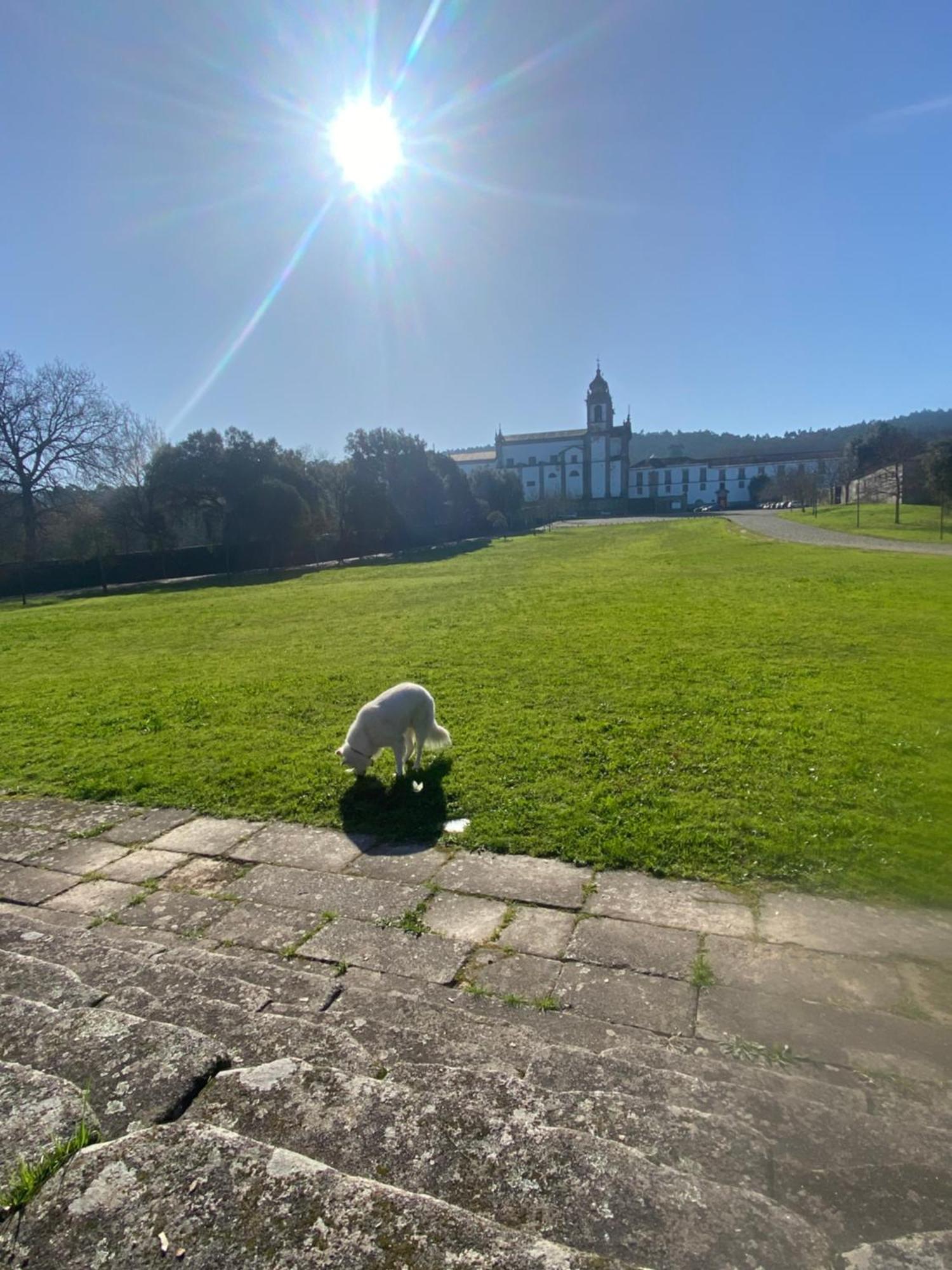 Villa Quinta Do Senhor Braga Esterno foto