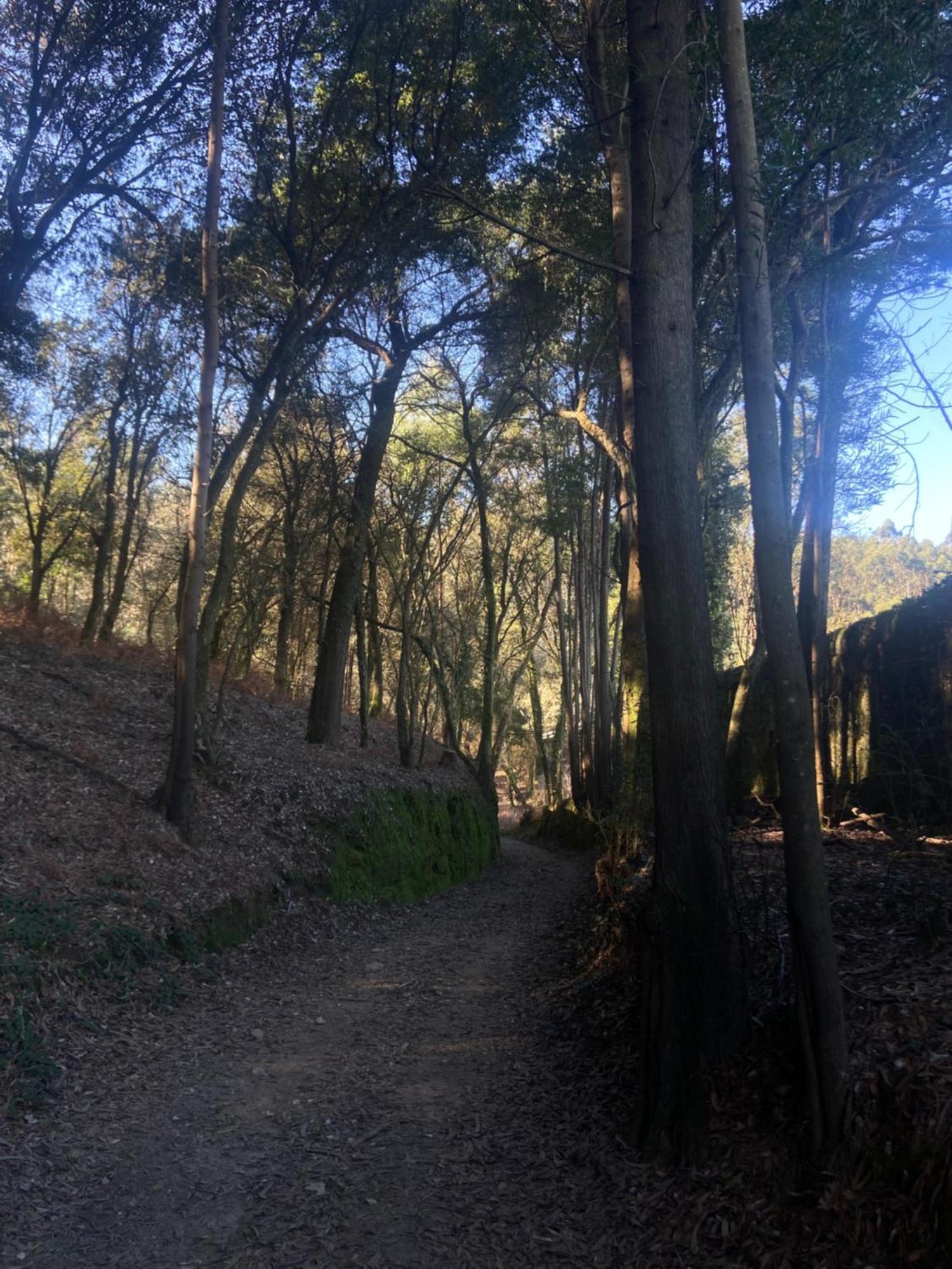 Villa Quinta Do Senhor Braga Esterno foto