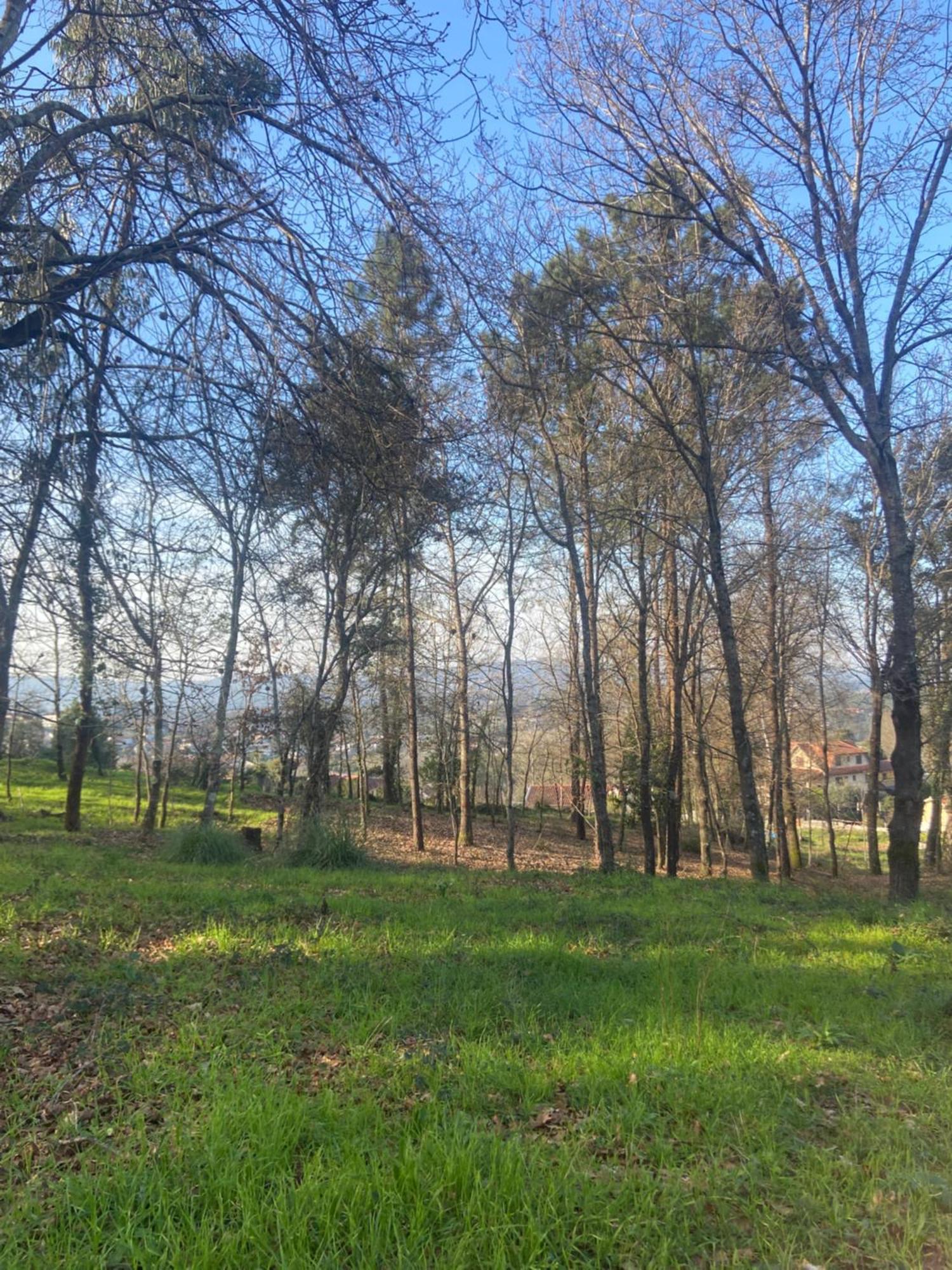 Villa Quinta Do Senhor Braga Esterno foto