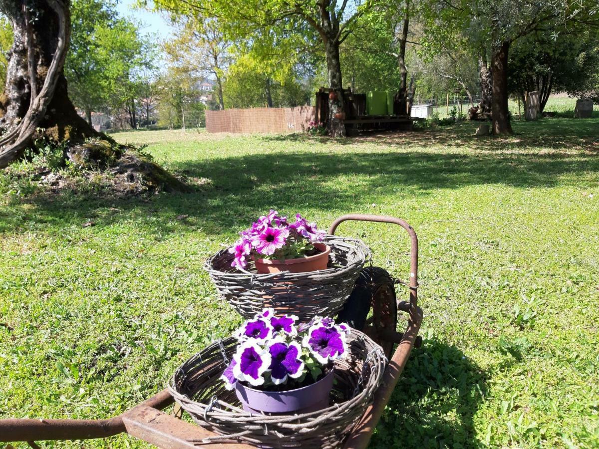 Villa Quinta Do Senhor Braga Esterno foto